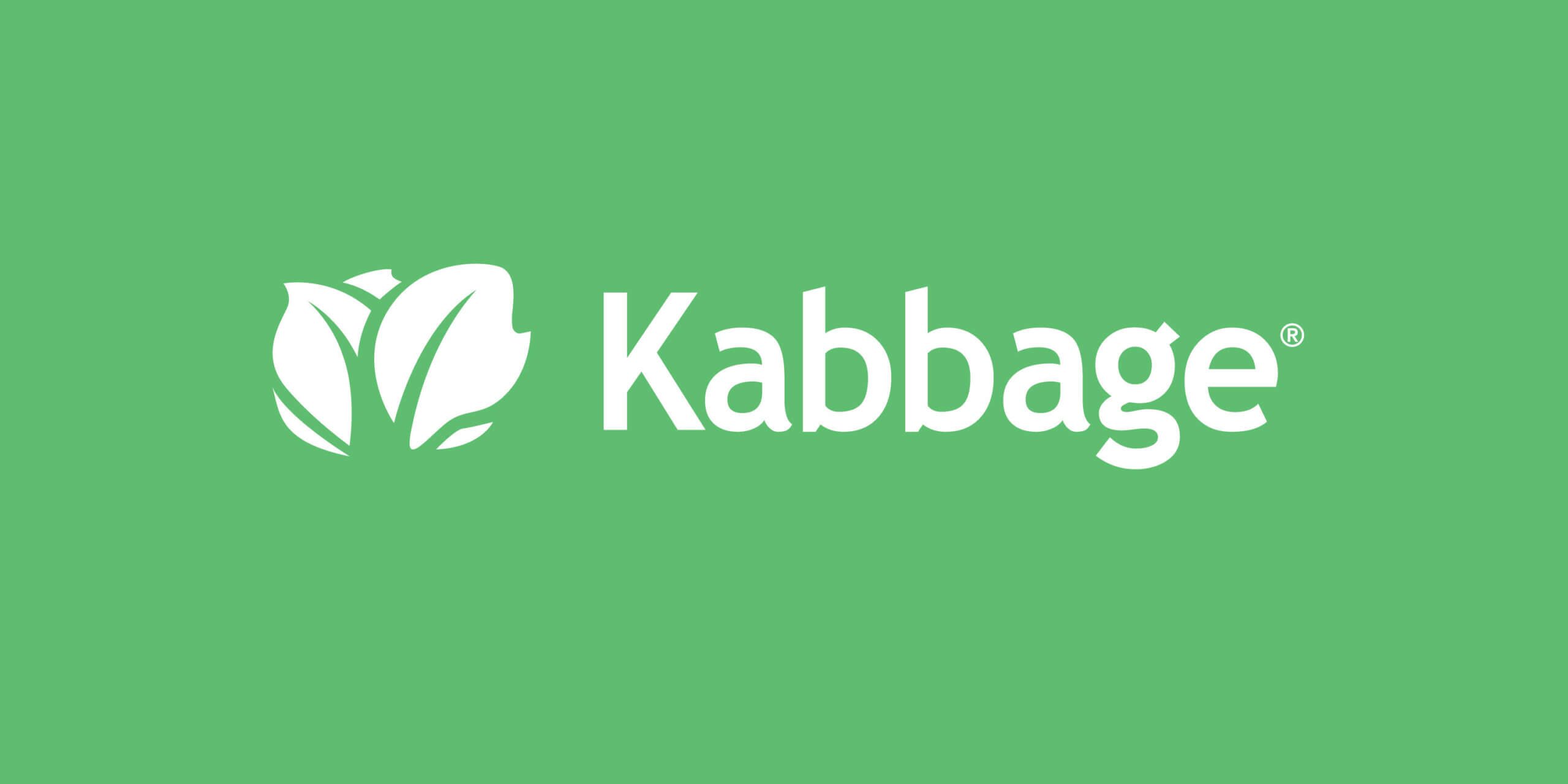 Kabbage Review 2024 –  Easy Approval for Small Business Loans